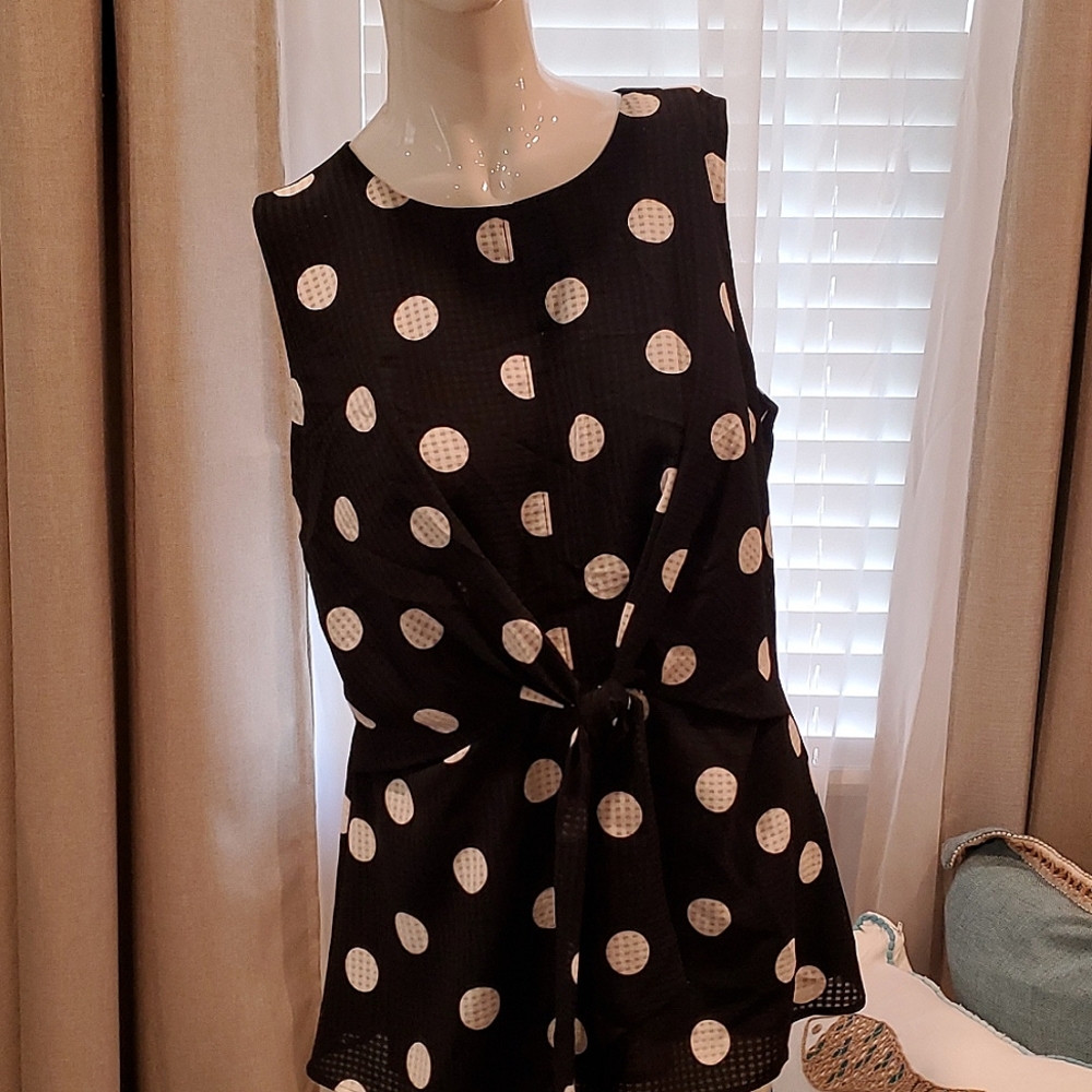 ANN TAYLOR  Sleeveless work or causal top.